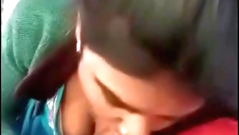 Indian truck driver sex video with deepthroat blowjob