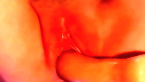 Indian solo girl sucks and sucks her boyfriend's dick