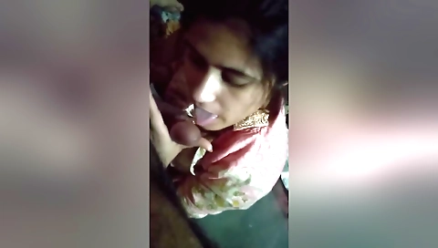 A brunette with a big juicy pussy and a very hot body